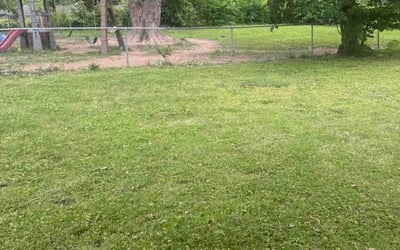 Photo of Sarar S.'s yard after getting lawn care in East Meadow, NY