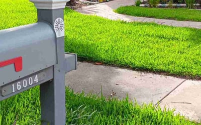 Photo of Janice W.'s yard after getting lawn care in Taunton, MA