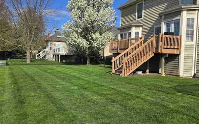 Photo of Vanessa W.'s yard after getting lawn care in Geneva, IL
