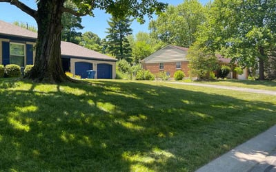 Photo of Albert D.'s yard after getting lawn care in Dayton, OH