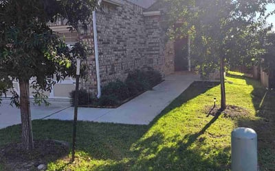 Photo of Lorie R.'s yard after getting tree care in Chico, CA
