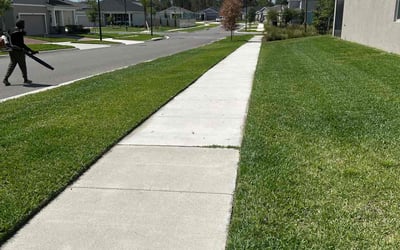 Photo of Corey C.'s yard after getting lawn care in Clermont, FL