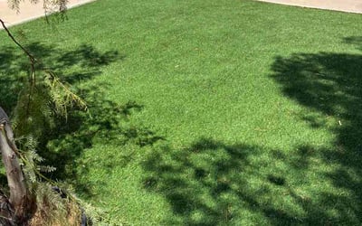 Photo of Evan F.'s yard after getting lawn care in Bloomfield Hills, MI