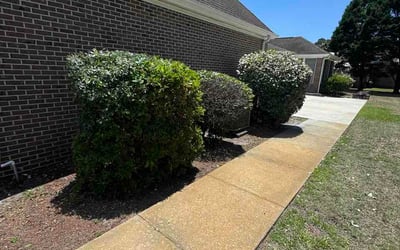 Photo of Kirstie O.'s yard after getting lawn care in Hoffman Estates, IL