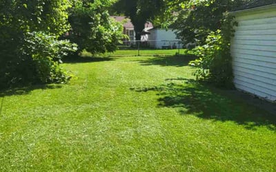 Photo of Jackie J.'s yard after getting lawn care in Riverview, MI