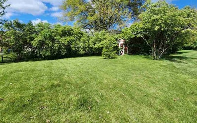 Photo of Mandy S.'s yard after getting lawn care in Blue Ash, OH