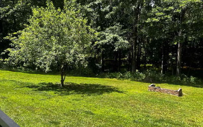 Photo of Don M.'s yard after getting lawn care in Greer, SC