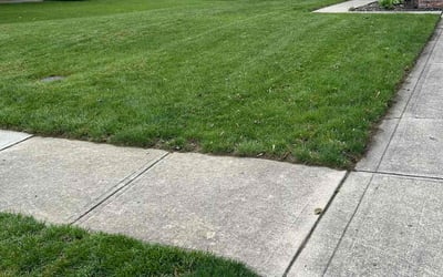 Photo of Dan P.'s yard after getting lawn care in Glassboro, NJ