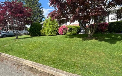 Photo of Charles T.'s yard after getting lawn care in Media, PA