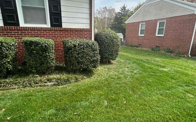 Photo of Robert W.'s yard after getting lawn care in Sandston, VA