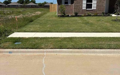 Photo of Melinda A.'s yard after getting lawn care in San Francisco, CA