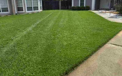 Photo of Dave W.'s yard after getting lawn care in Crystal Lake, IL