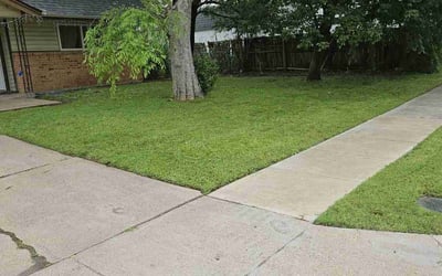 Photo of Peter C.'s yard after getting lawn care in Holmdel, NJ