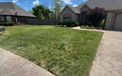 Photo of Phyllis T.'s yard after getting lawn care in Akron, OH