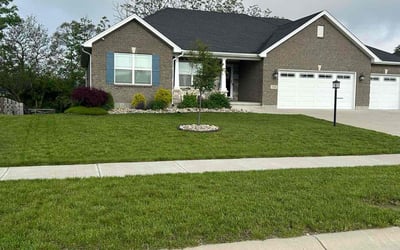 Photo of Shaliah M.'s yard after getting lawn care in Dolton, IL