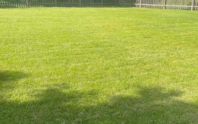 Photo of John M.'s yard after getting lawn care in Wexford, PA