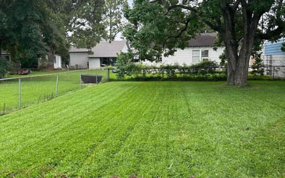 Photo of William W.'s yard after getting lawn care in Ponchatoula, LA