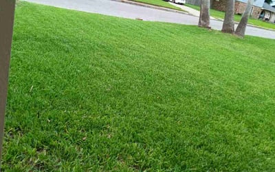 Photo of Keri L.'s yard after getting lawn care in Aransas Pass, TX