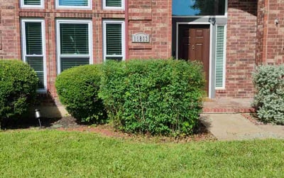 Photo of Scott B.'s yard after getting lawn care in Rochester, NY