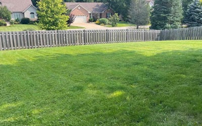 Photo of Faithetta D.'s yard after getting lawn care in Round Lake, IL
