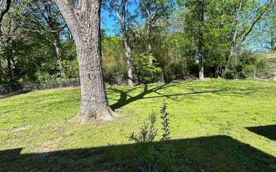 Photo of Michael C.'s yard after getting lawn care in Greenbrier, AR
