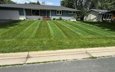 Photo of Brandon R.'s yard after getting lawn care in Hopkins, MN