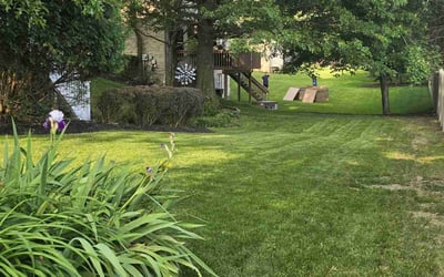 Photo of Jakaya S.'s yard after getting lawn care in Apollo, PA