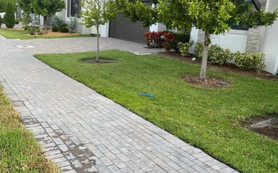 Photo of Bryant A.'s yard after getting lawn care in Tulare, CA