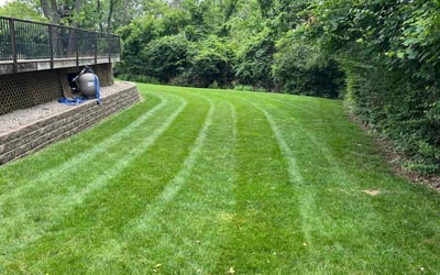 Photo of Thomas M.'s yard after getting lawn care in Murrells Inlet, SC