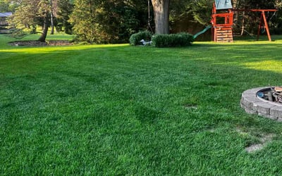 Photo of Dominic R.'s yard after getting lawn care in Livonia, MI