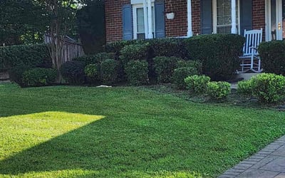 Photo of Craig A.'s yard after getting lawn care in Compton, CA