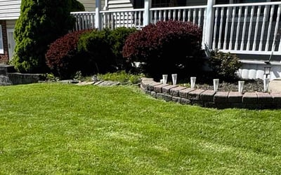 Photo of Jennifer B.'s yard after getting lawn care in Spencerport, NY