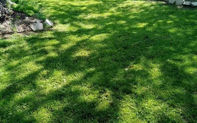 Photo of Deanna A.'s yard after getting lawn care in Walnut, CA