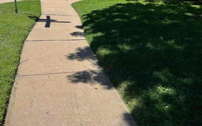 Photo of Catherine P.'s yard after getting lawn care in Hampton, VA