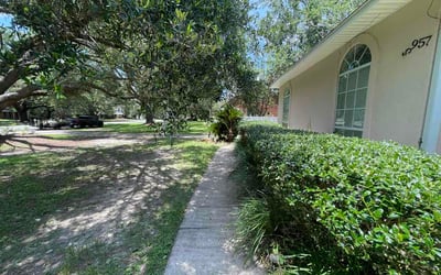 Photo of Tina S.'s yard after getting lawn care in Locust Grove, GA