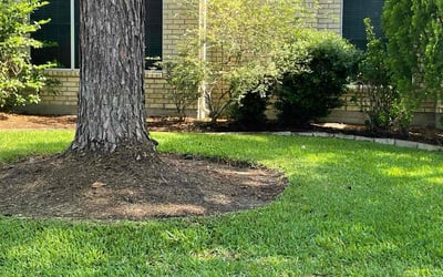 Photo of Brian E.'s yard after getting lawn care in Augusta, ME