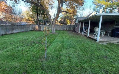 Photo of Rachel T.'s yard after getting lawn care in Bedford, NH