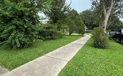 Photo of Margaret A.'s yard after getting lawn care in Calabash, NC