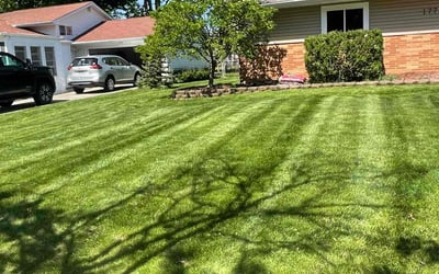 Photo of Katherine W.'s yard after getting lawn care in Winter Springs, FL