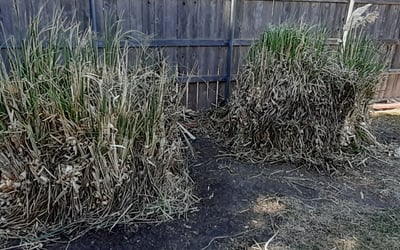 Photo of Nicole B.'s yard after getting tree care in Anchorage, AK