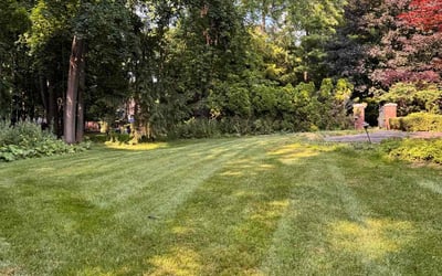 Photo of Jessica/Gerald L.'s yard after getting lawn care in Bloomfield Hills, MI