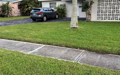 Photo of Luz P.'s yard after getting lawn care in East Windsor, CT