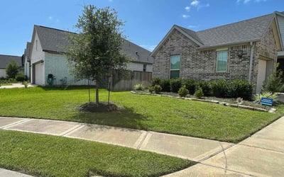 Photo of Curtis C.'s yard after getting lawn care in Keller, TX