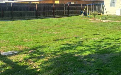 Photo of Endia M.'s yard after getting lawn care in Tehachapi, CA