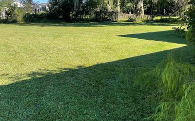 Photo of Donna H.'s yard after getting lawn care in Delray Beach, FL