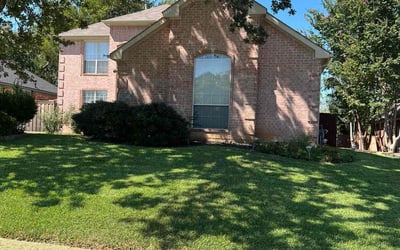 Photo of Kathy B.'s yard after getting lawn care in Euless, TX