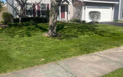 Photo of Lorri B.'s yard after getting lawn care in Calumet, IL