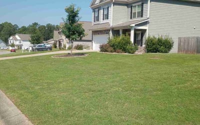 Photo of Devante N.'s yard after getting lawn care in Liverpool, NY