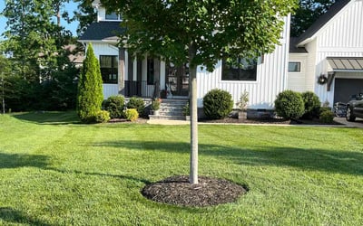 Photo of Js L.'s yard after getting lawn care in Salem, MA