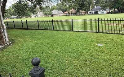 Photo of Tania B.'s yard after getting lawn care in Crosby, TX